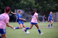 WOLF7872
