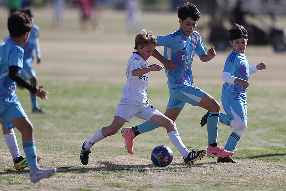 20250315StingAustingG14TigerCupG1-20113