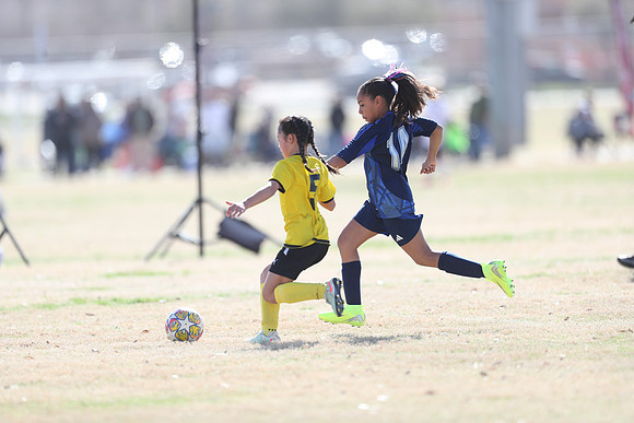 20250315StingAustingG14TigerCupG1-20419