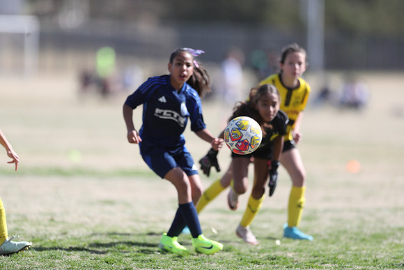 20250315StingAustingG14TigerCupG1-20695
