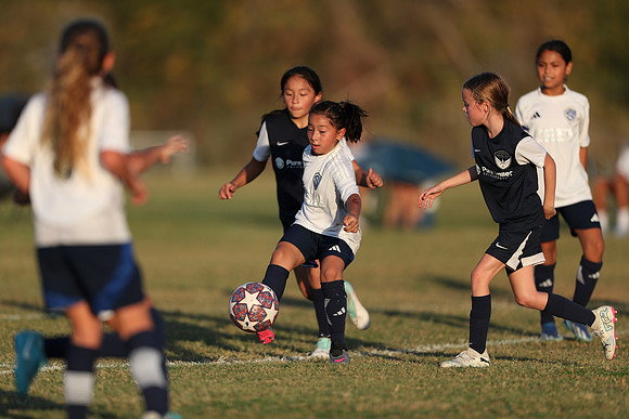 20241027StingG14G8Win-7396