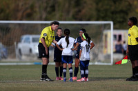 20241027StingG14G8Win-5398