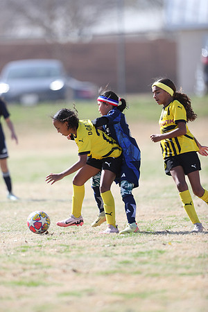 20250315StingAustingG14TigerCupG1-20643