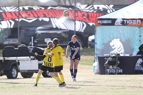20250315StingAustingG14TigerCupG1-20558
