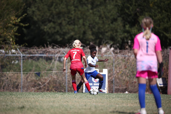 WOLF1329