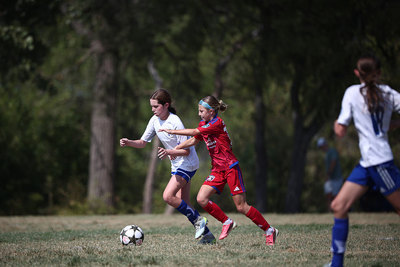 WOLF1276