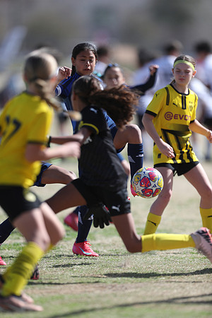 20250315StingAustingG14TigerCupG1-20804