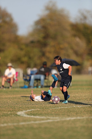 20241027StingG14G8Win-7382