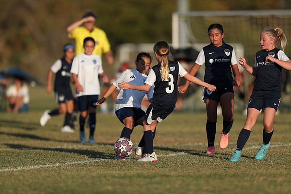 20241027StingG14G8Win-7007