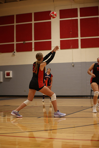 WOLF1543
