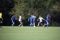 WOLF0041