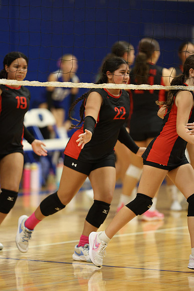 WOLF3062