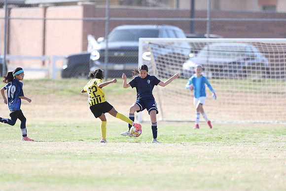 20250315StingAustingG14TigerCupG1-20298
