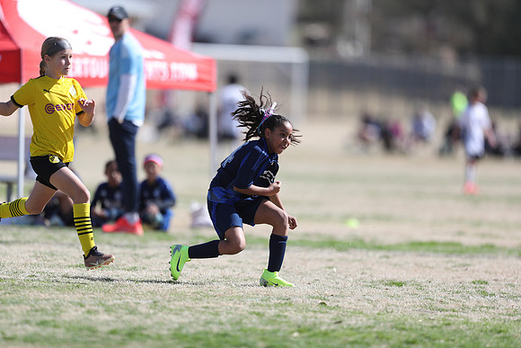 20250315StingAustingG14TigerCupG1-20675