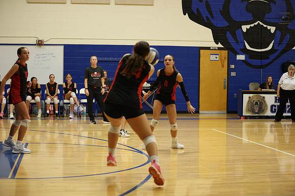 WOLF3101