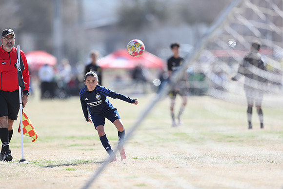 20250315StingAustingG14TigerCupG1-20633