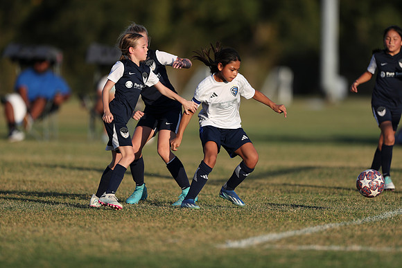 20241027StingG14G8Win-6774
