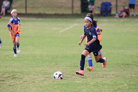 20240914StingG14G2-7564