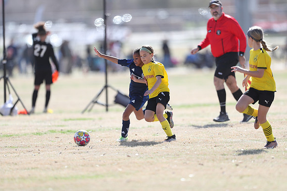 20250315StingAustingG14TigerCupG1-20582