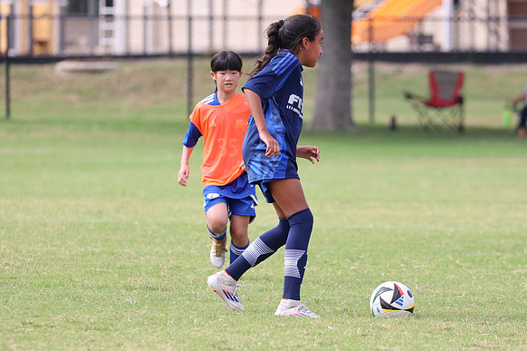 20240914StingG14G2-7272