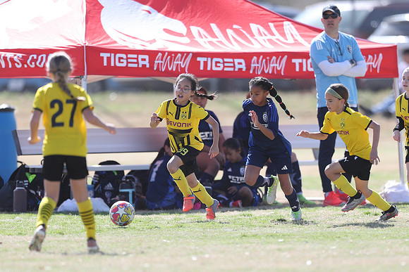 20250315StingAustingG14TigerCupG1-20572