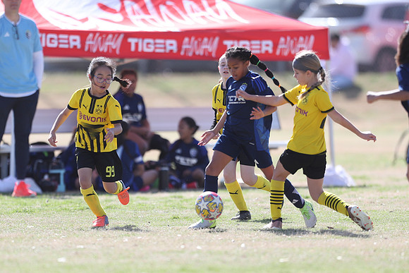 20250315StingAustingG14TigerCupG1-20617