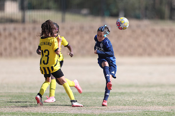 20250315StingAustingG14TigerCupG1-20660