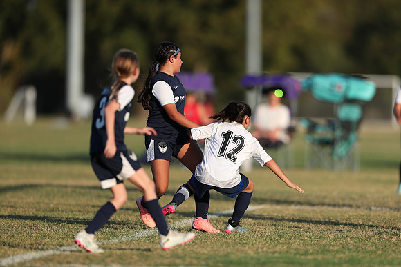 20241027StingG14G8Win-6919