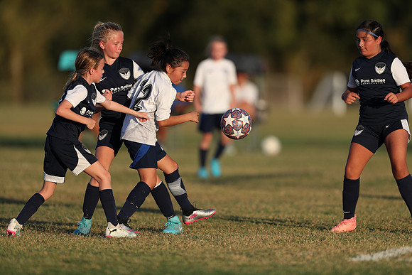 20241027StingG14G8Win-7325