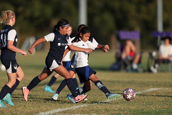20241027StingG14G8Win-6829