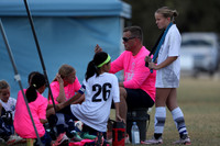 20241027StingG14G8Win-5382