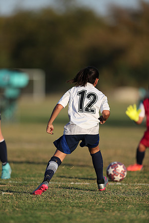 20241027StingG14G8Win-7105