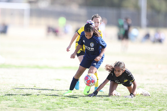 20250315StingAustingG14TigerCupG1-20685