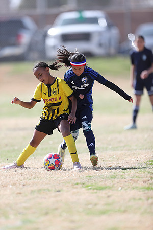 20250315StingAustingG14TigerCupG1-20647