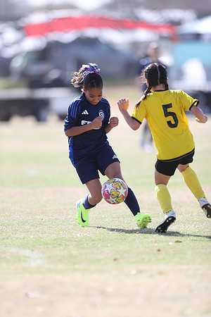 20250315StingAustingG14TigerCupG1-20308