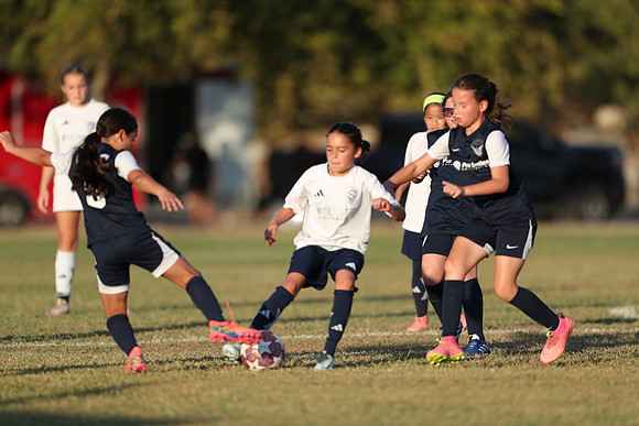 20241027StingG14G8Win-7130