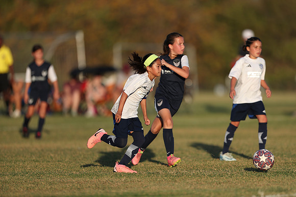 20241027StingG14G8Win-7207