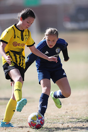 20250315StingAustingG14TigerCupG1-20481