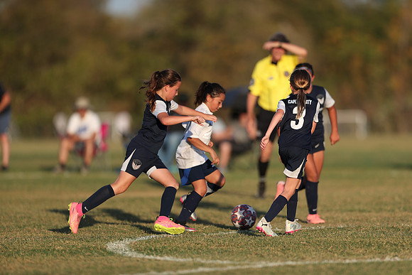 20241027StingG14G8Win-7196