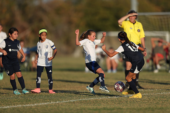 20241027StingG14G8Win-7051