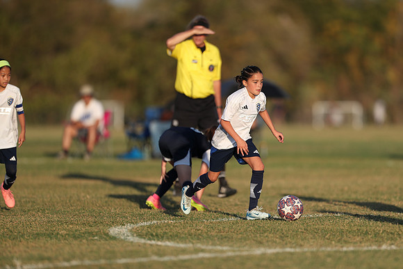 20241027StingG14G8Win-7265