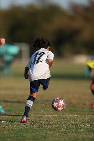 20241027StingG14G8Win-7102
