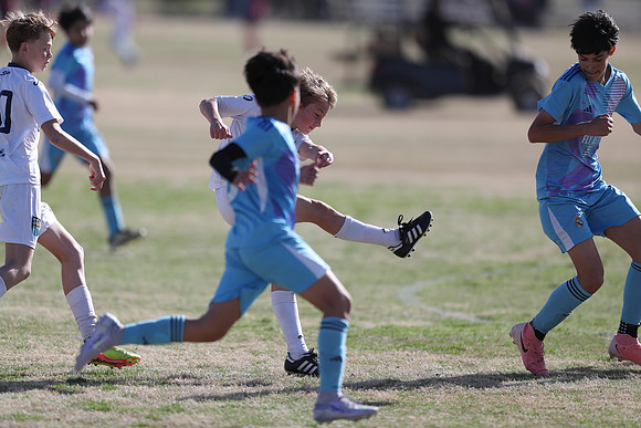 20250315StingAustingG14TigerCupG1-20114
