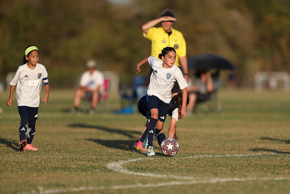 20241027StingG14G8Win-7262