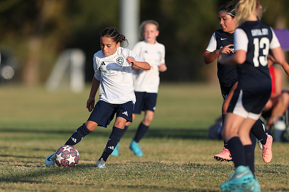 20241027StingG14G8Win-6881