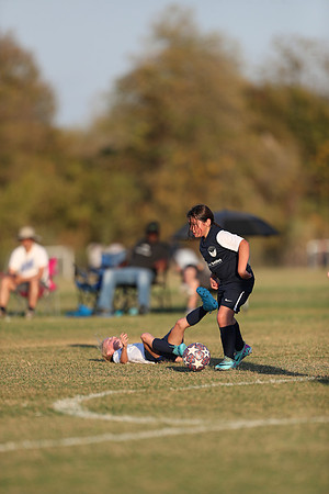 20241027StingG14G8Win-7381