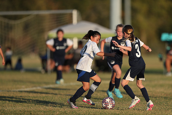 20241027StingG14G8Win-7316
