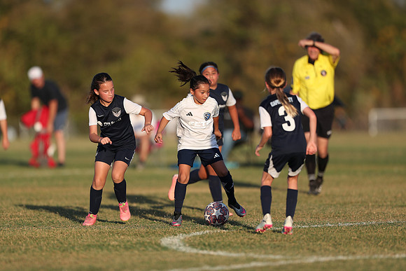 20241027StingG14G8Win-7190