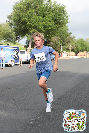 20250426HCMWildflower-20544
