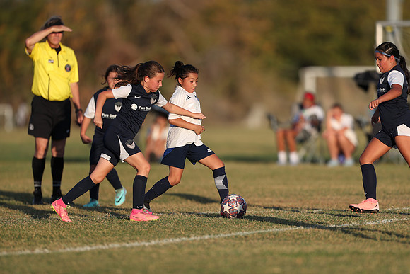 20241027StingG14G8Win-7246